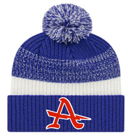 Albia PBIS Ribbed Knit Cap